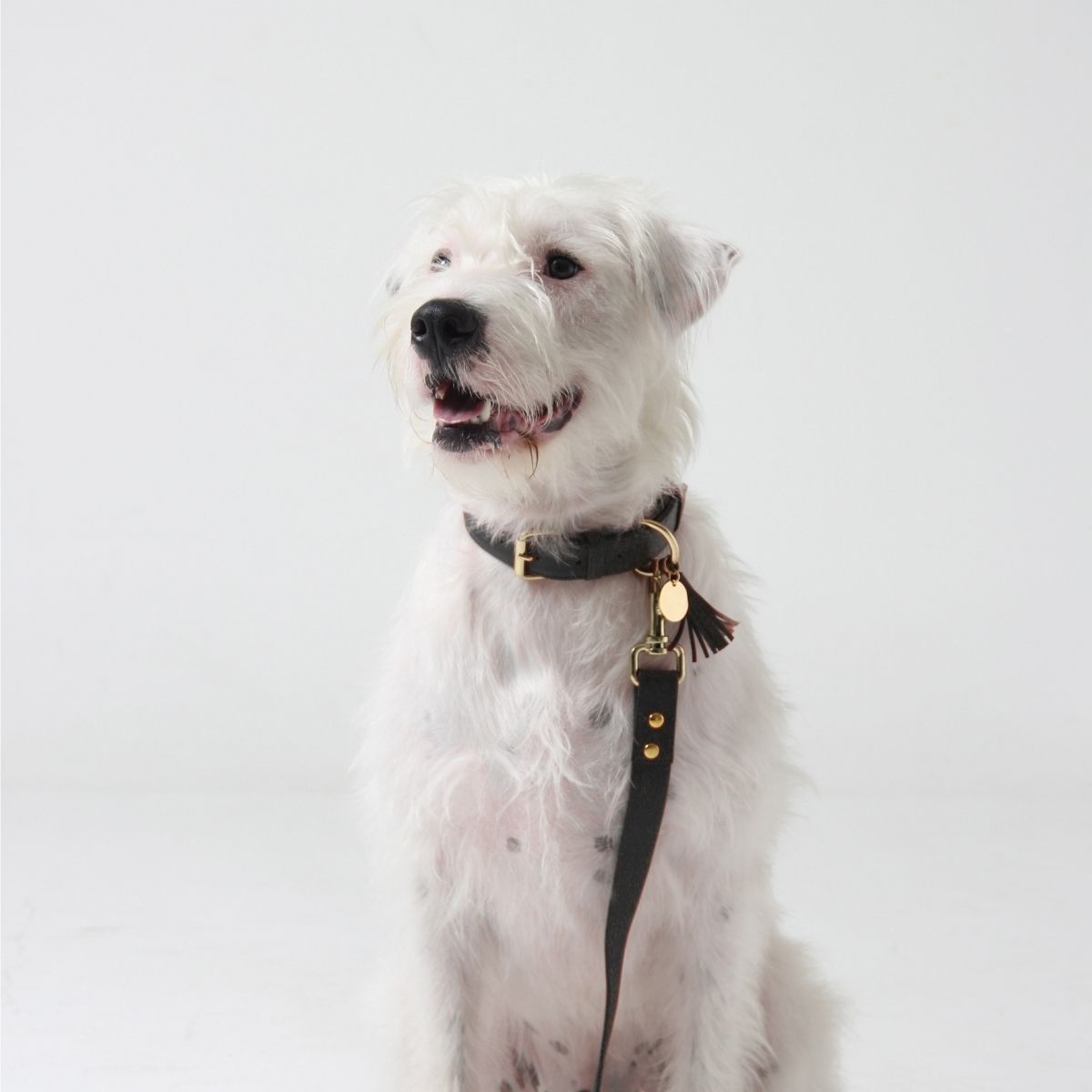Green pine leather dog collar