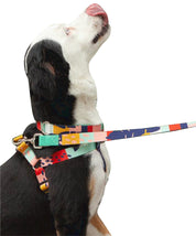 Abstract City leash