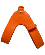 Orange leather dog harness