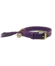 Aubergine leather dog collar