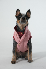Dog Doble face Vest Ruby/Pink