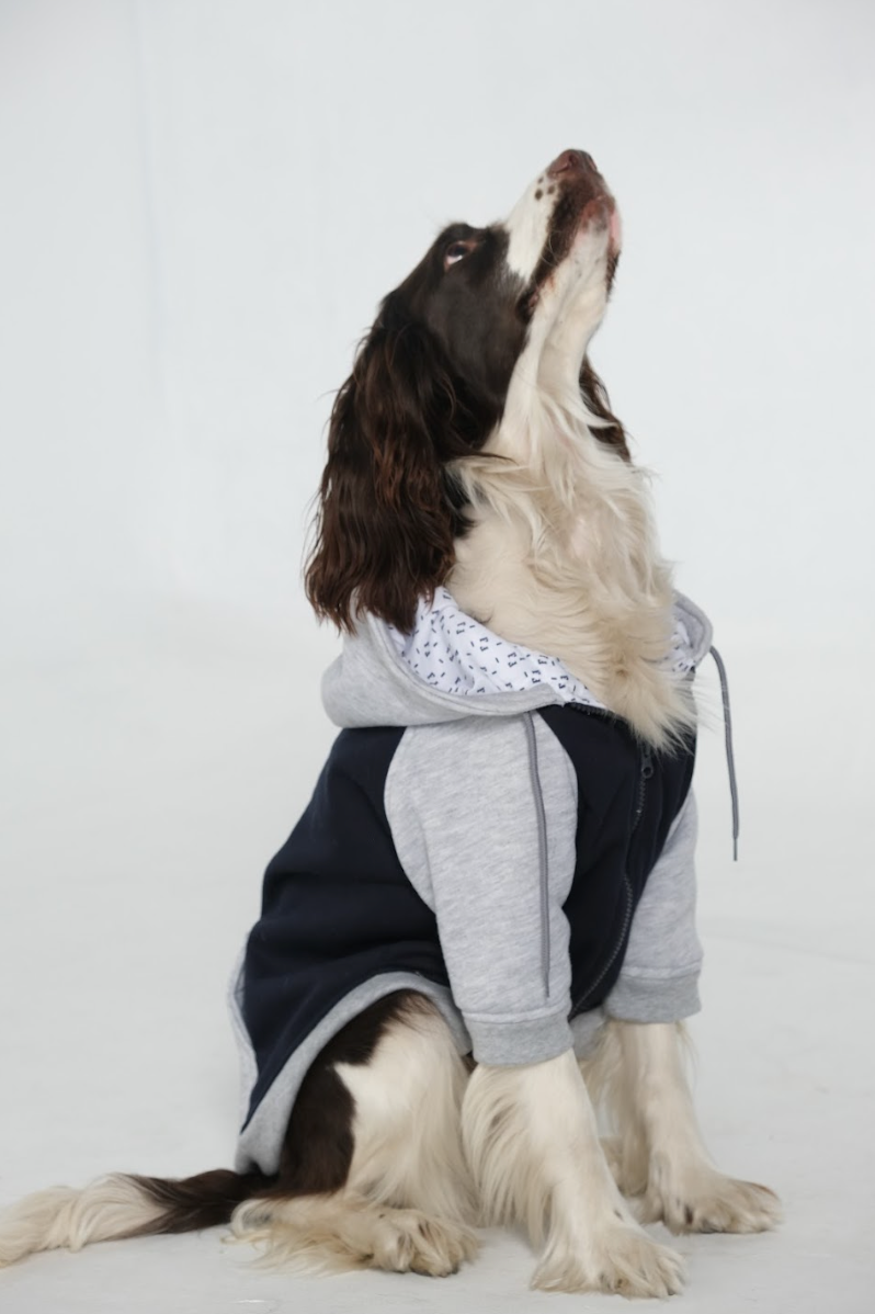 Dog Hoodie Blue/Grey
