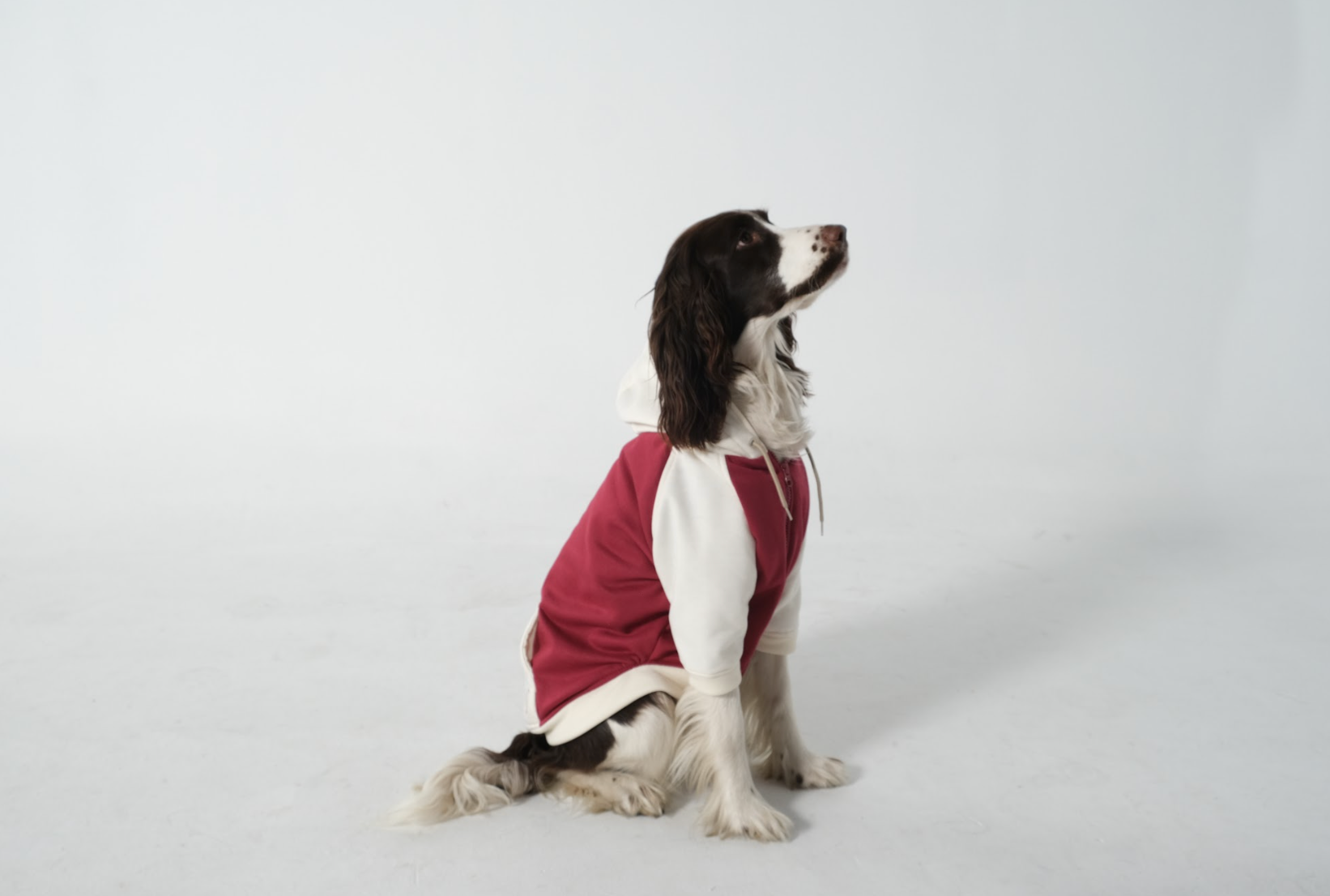 Dog Hoodie Ruby/Beige
