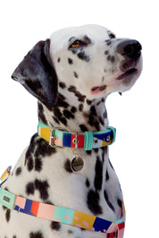 Abstract City collar