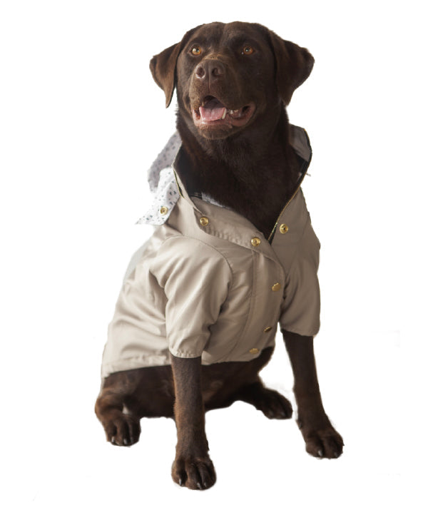 Beige raincoat