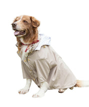 chaqueta impermeable beige - Feroz