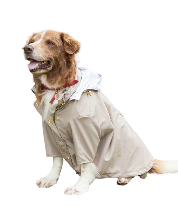 chaqueta impermeable beige - Feroz