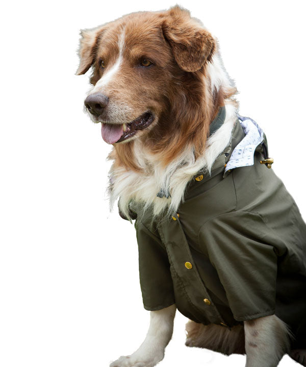 chaqueta impermeable verde militar - Feroz