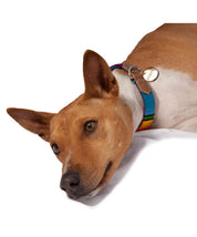 Artisan Maya collar