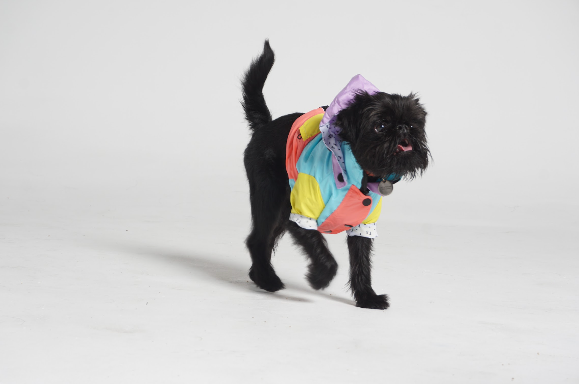 Apparel – FEROZ URBAN PET FASHION
