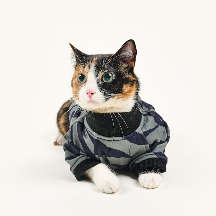 Cat Clothing