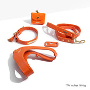 Orange Leather Mania Set