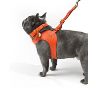 Orange leather dog harness