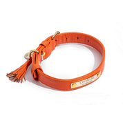 Orange leather dog collar