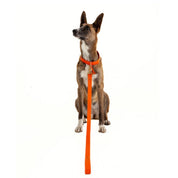 Orange leather leash