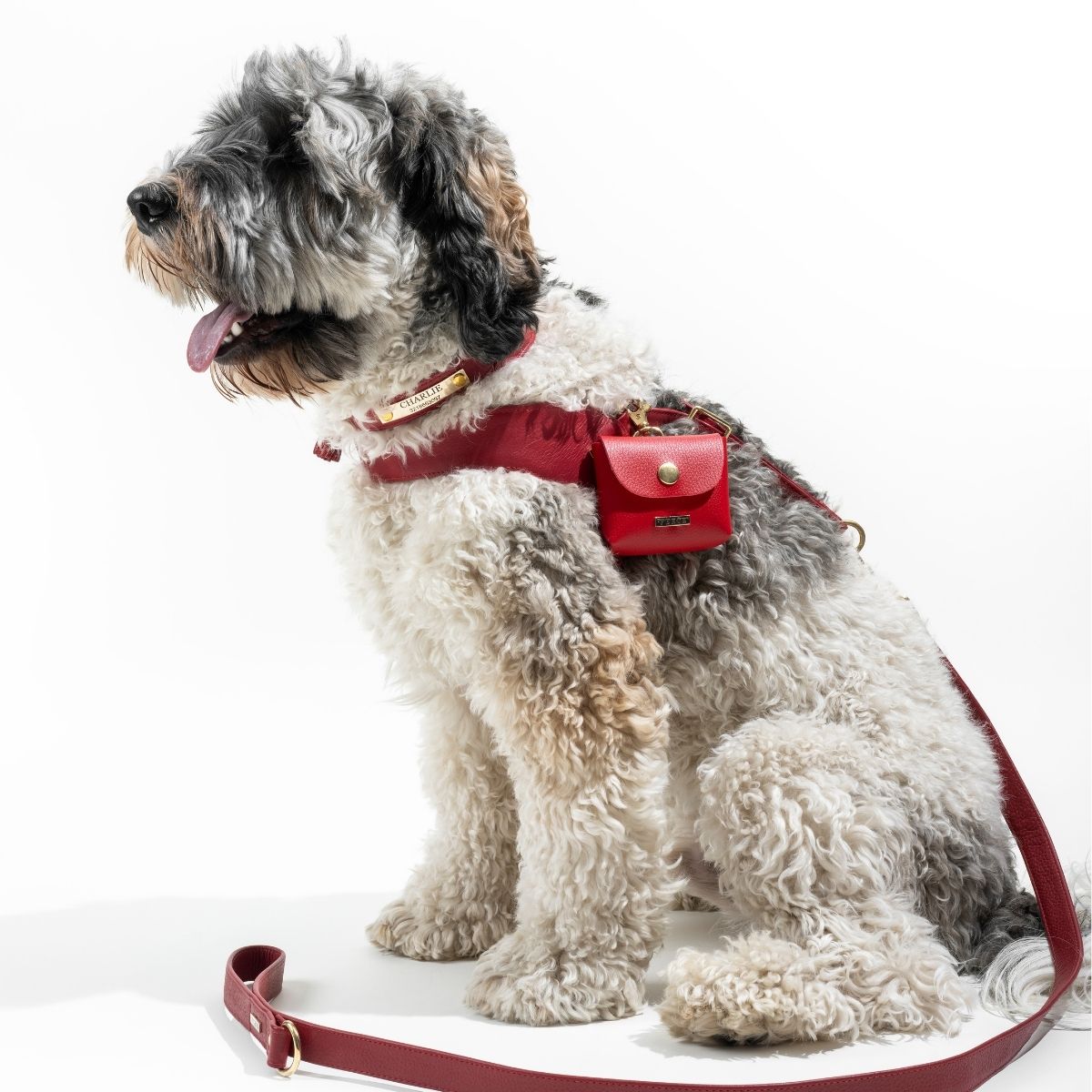 Scarlet red leather dog harness