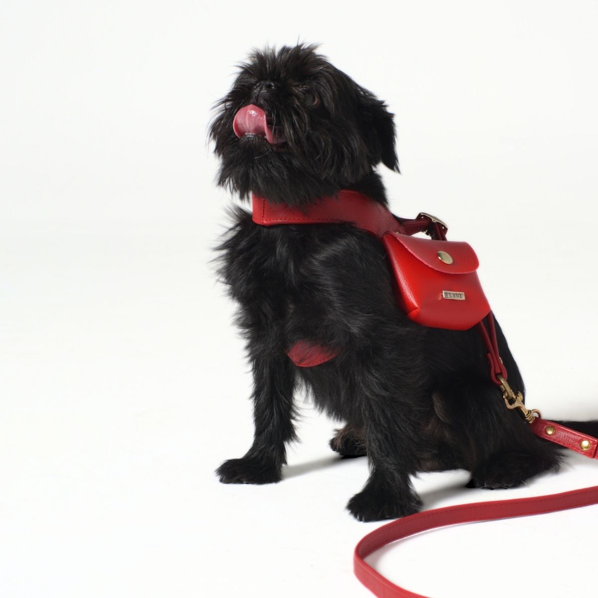 Scarlet red leather leash