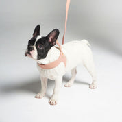 Dusty rose leather dog harness