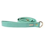 Turquoise leather leash