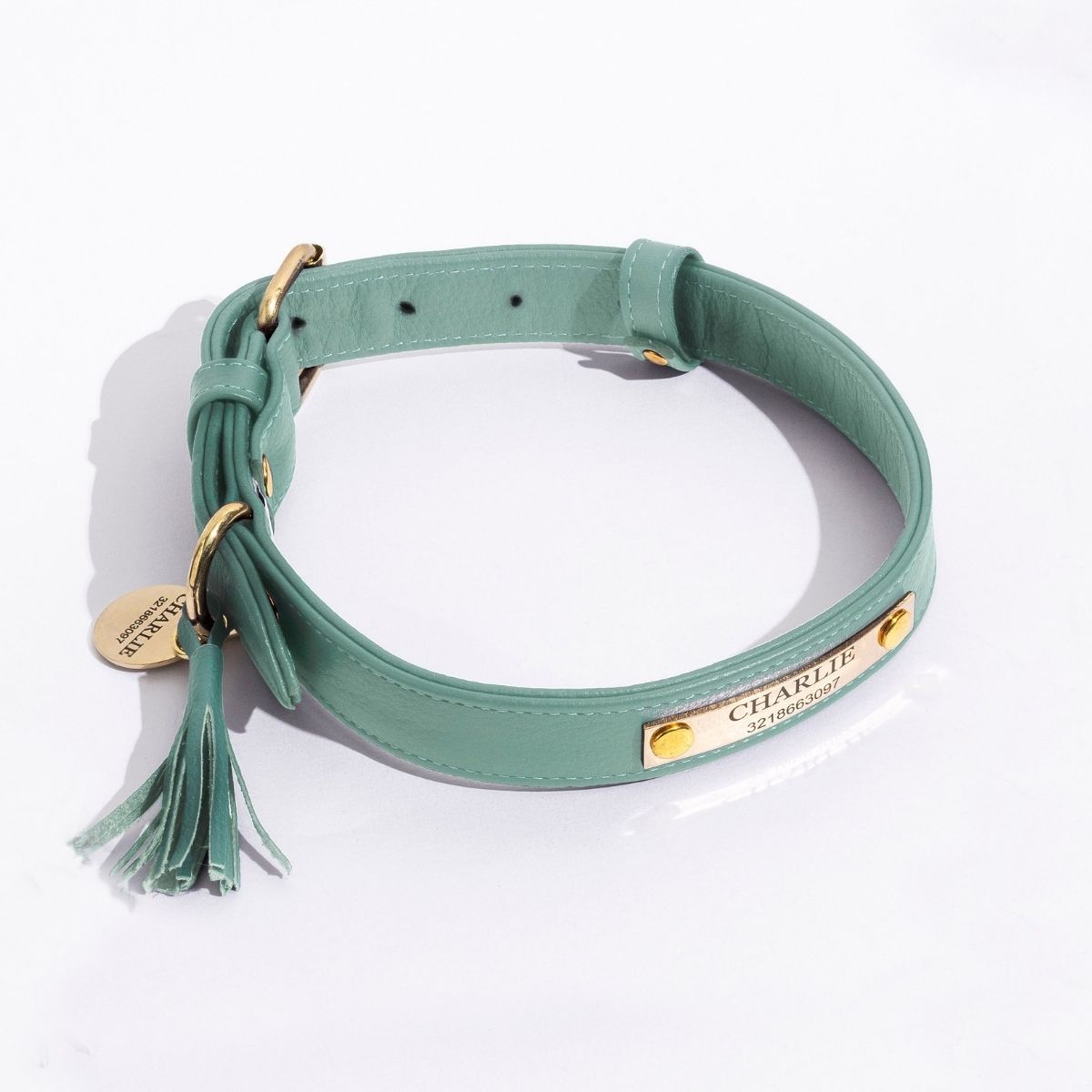 Turquoise leather dog collar