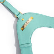 Turquoise leather dog harness