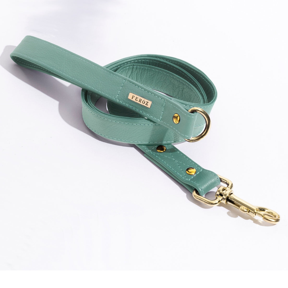 Turquoise leather leash