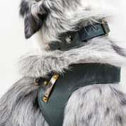 Pine green leather dog harness