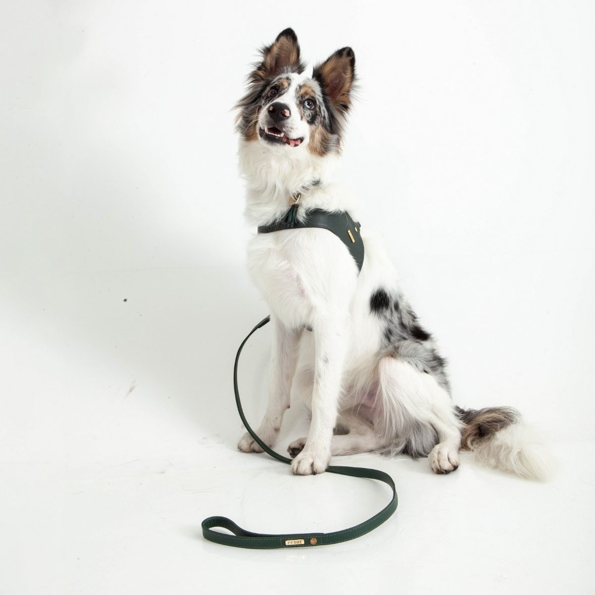 Pine green leather leash