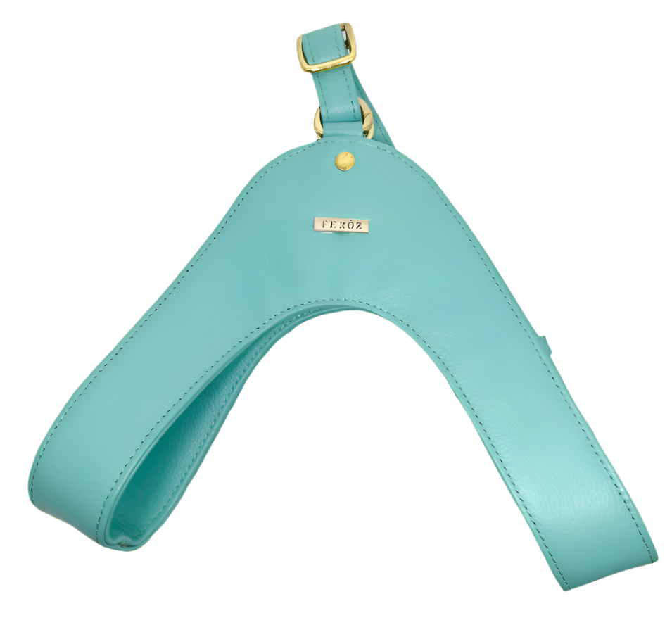 Turquoise leather dog harness