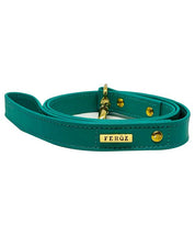 Turquoise leather leash