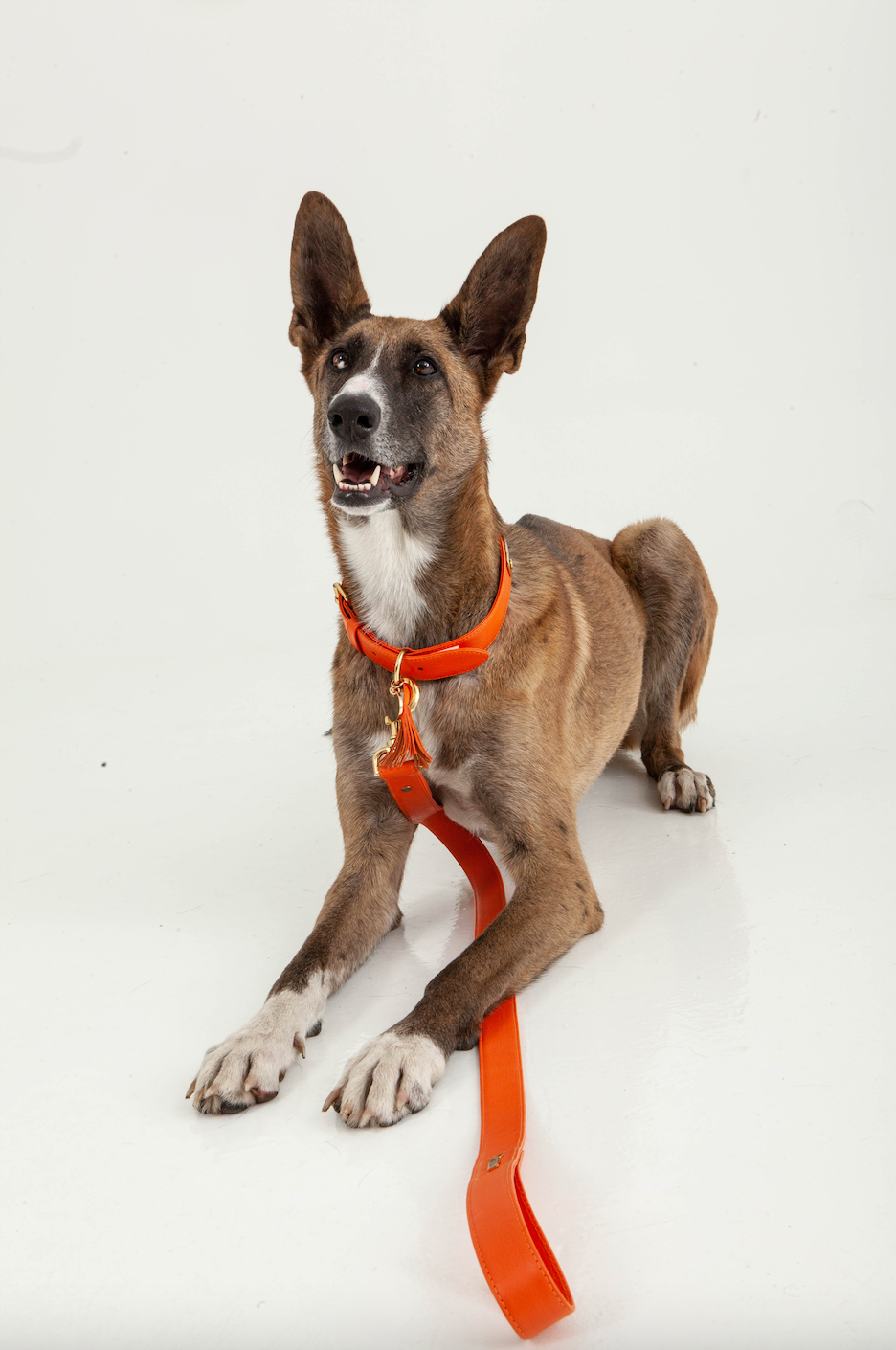 Orange leather leash
