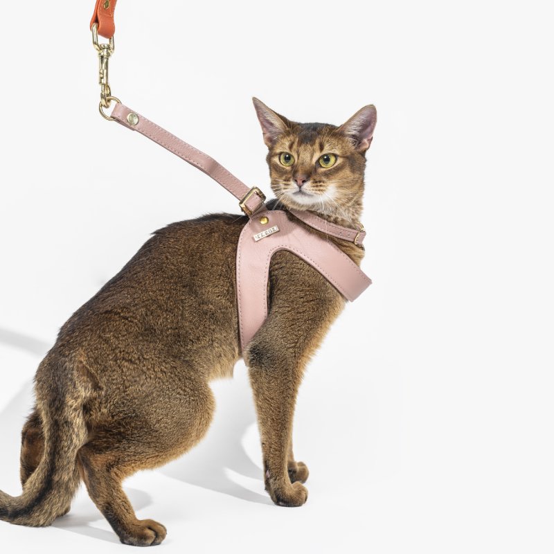 Dusty Rose Leather Cat Harness