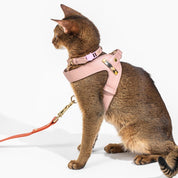 Dusty Rose Leather Cat Harness