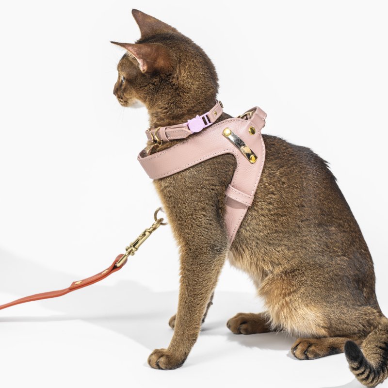 Dusty Rose Leather Cat Harness