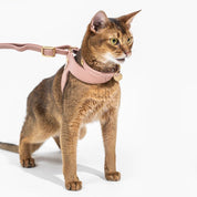 Dusty Rose Leather Cat Harness