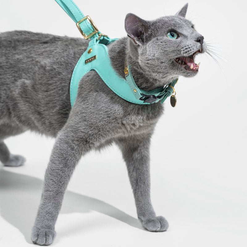 Turquoise Leather Cat Harness