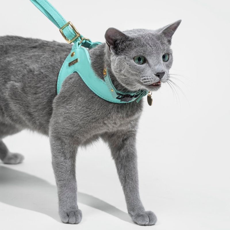 Turquoise Leather Cat Harness