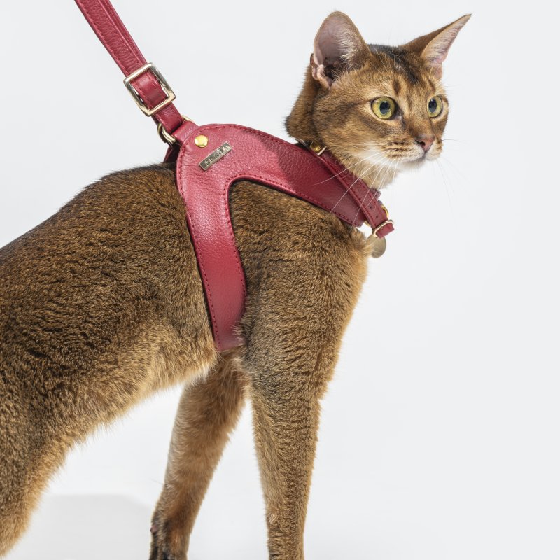 Scarlet Red Leather Cat Harness