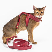 Scarlet Red Leather Cat Harness