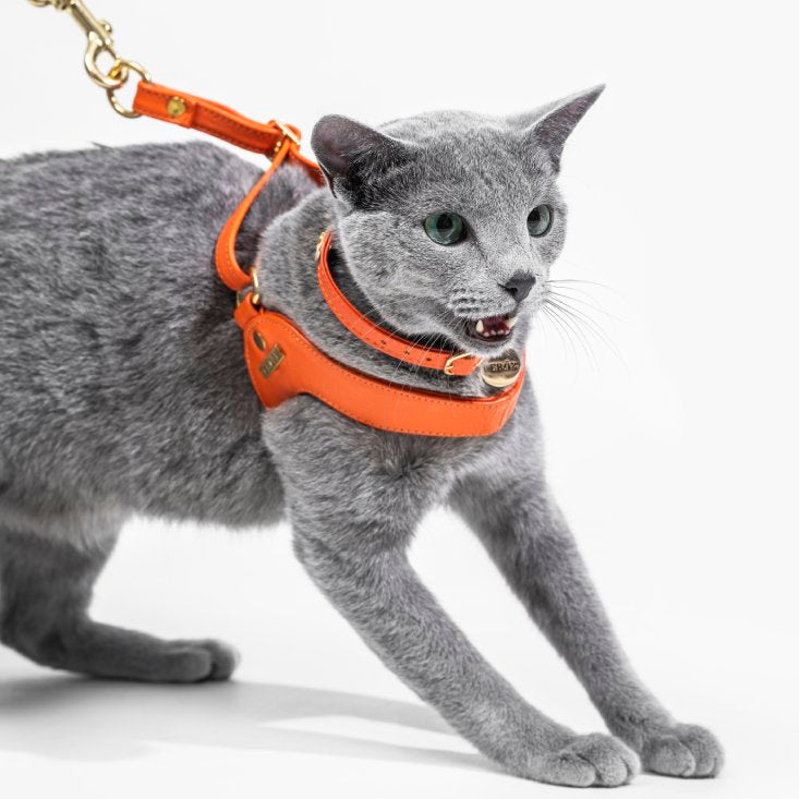 Orange Leather Mania Cat Harness