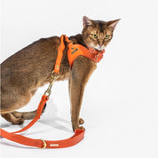 Orange Leather Mania Cat Harness