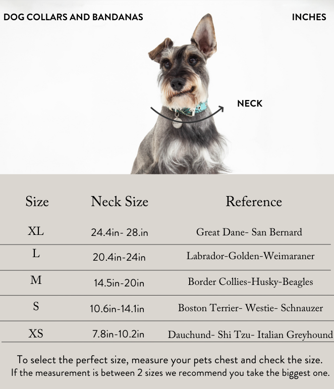 Green pine leather dog collar – FEROZ URBAN PET FASHION