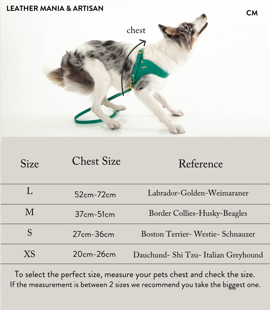 Golden retriever harness size clearance