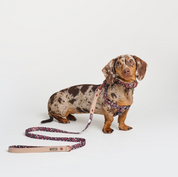 Safari Leopard Canvas Leash