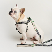 Safari Zebra Canvas Harness