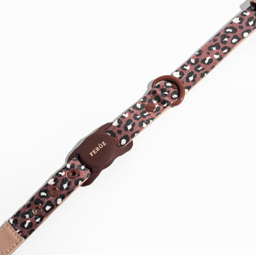 Safari Airtag Holder