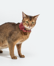 Scarlet red leather cat collar