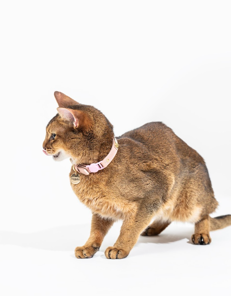 Dusty rose leather cat collar