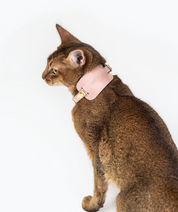 Dusty rose leather cat collar