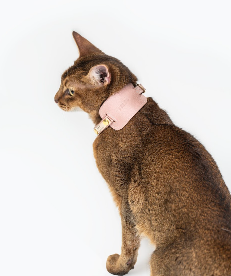 Dusty rose leather cat collar